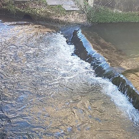 Gite Du Moulin De Barutel Mamers,Avec Spa Et Hammam Sur Reservation Payant Eksteriør billede